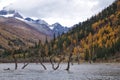 China western sichuan lake and two color tree